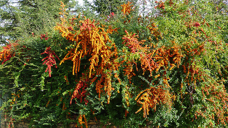 Automne_13_Bernard Pradie.jpg